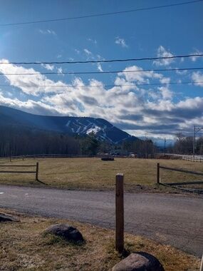 Meet your Posher, Robinn